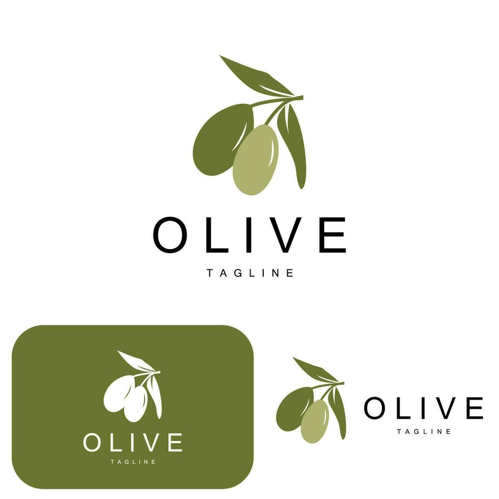 Olive Logo, Olive Öl Pflanze Vektor, natürlich Kräuter- Gesundheit Medizin Design, Illustration Vorlage Symbol vektor