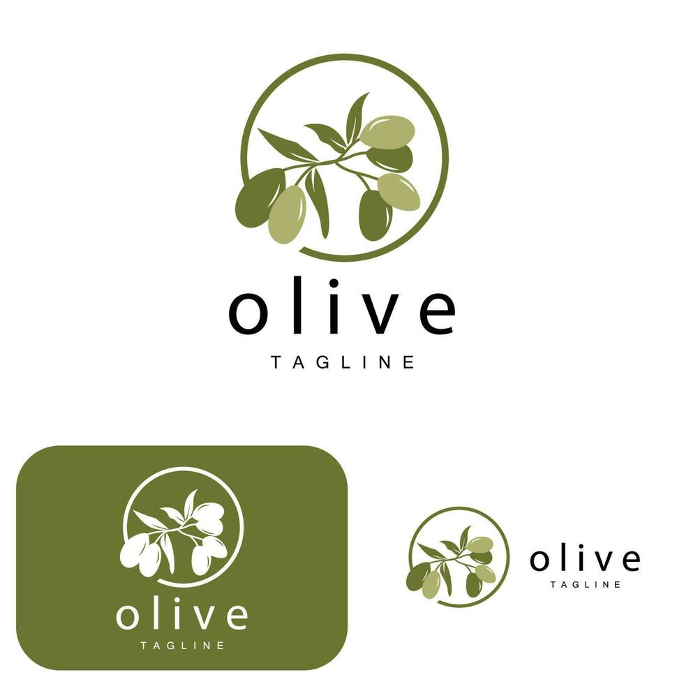 Olive Logo, Olive Öl Pflanze Vektor, natürlich Kräuter- Gesundheit Medizin Design, Illustration Vorlage Symbol vektor