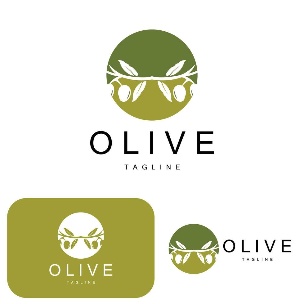 Olive Logo, Olive Öl Pflanze Vektor, natürlich Kräuter- Gesundheit Medizin Design, Illustration Vorlage Symbol vektor