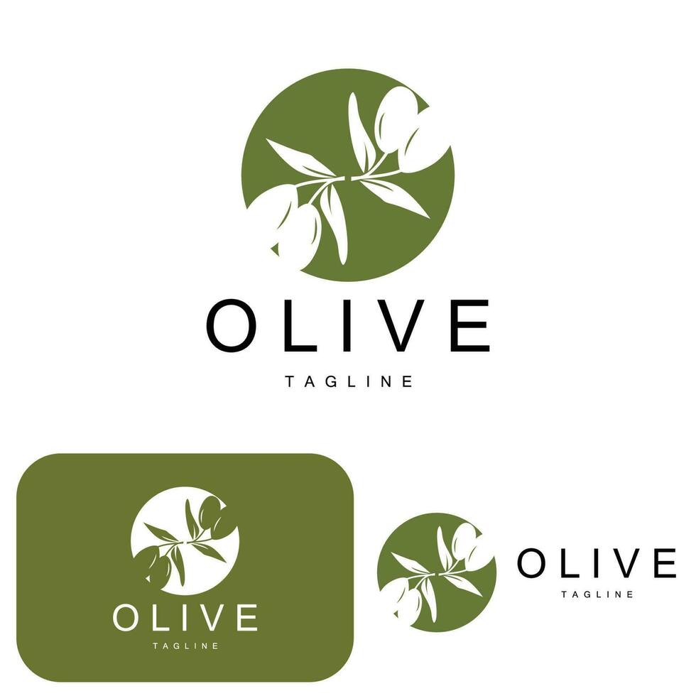 Olive Logo, Olive Öl Pflanze Vektor, natürlich Kräuter- Gesundheit Medizin Design, Illustration Vorlage Symbol vektor