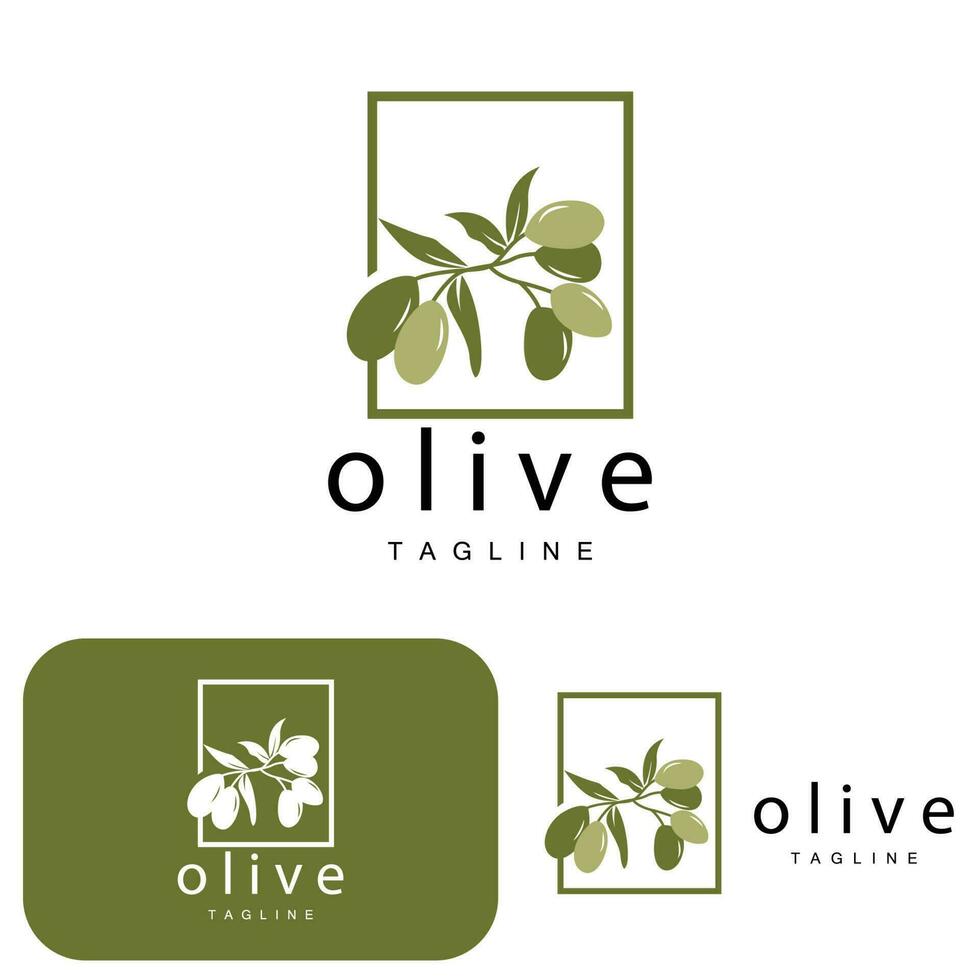 Olive Logo, Olive Öl Pflanze Vektor, natürlich Kräuter- Gesundheit Medizin Design, Illustration Vorlage Symbol vektor