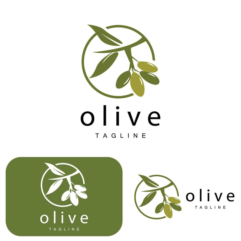 Olive Logo, Olive Öl Pflanze Vektor, natürlich Kräuter- Gesundheit Medizin Design, Illustration Vorlage Symbol vektor