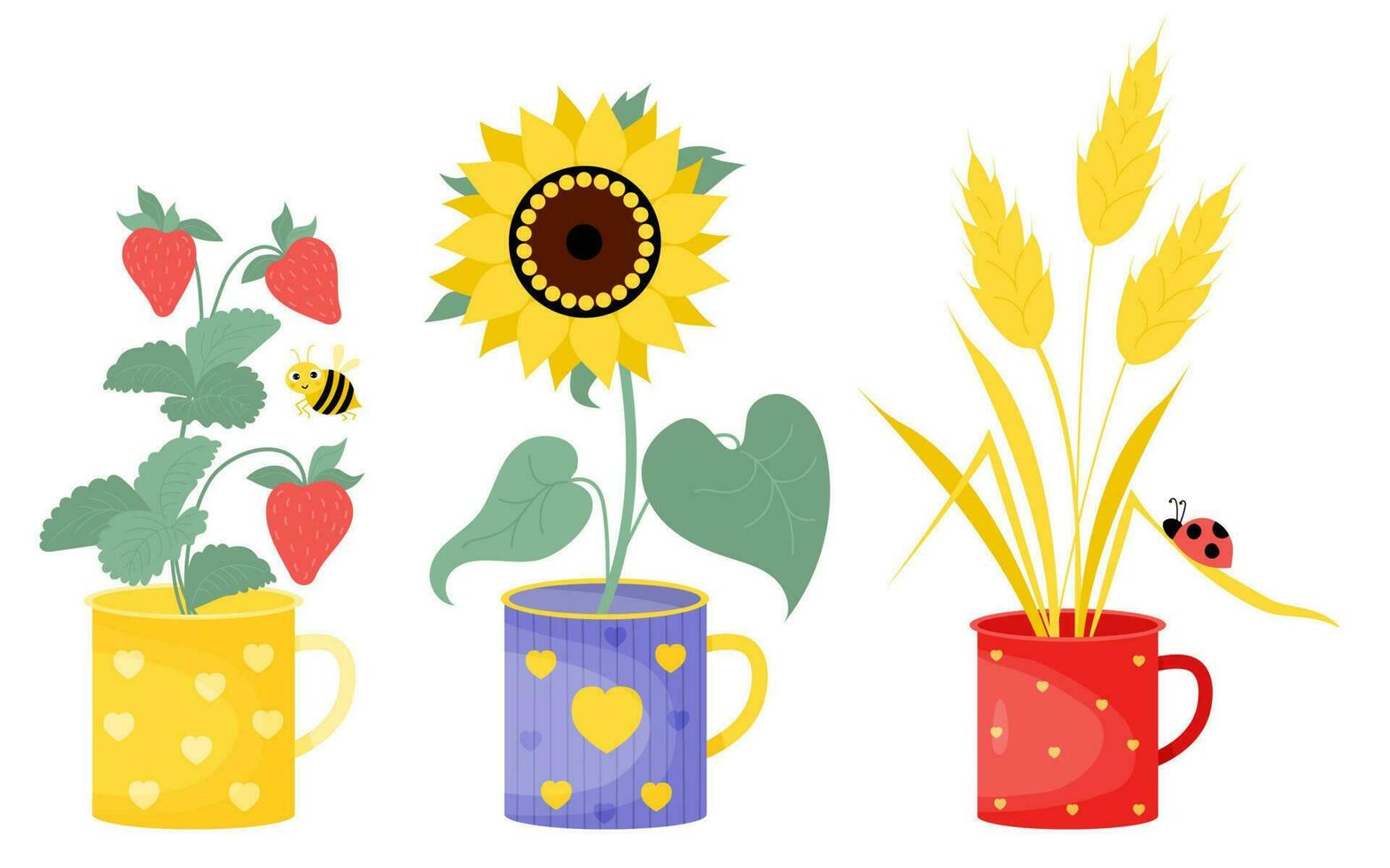 samling sommar koppar med blomma, bär och insekter. gul solros, bukett av spikelets med nyckelpiga och gren med jordgubbar och söt bi. vektor illustration i platt stil.