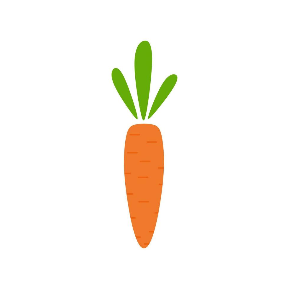 morot platt design vektor illustration. morot ikon isolerat på vit bakgrund. veg ikon illustration. morot, grönsak, mat, vektor platt stil. vektor orange platt morot ikon.