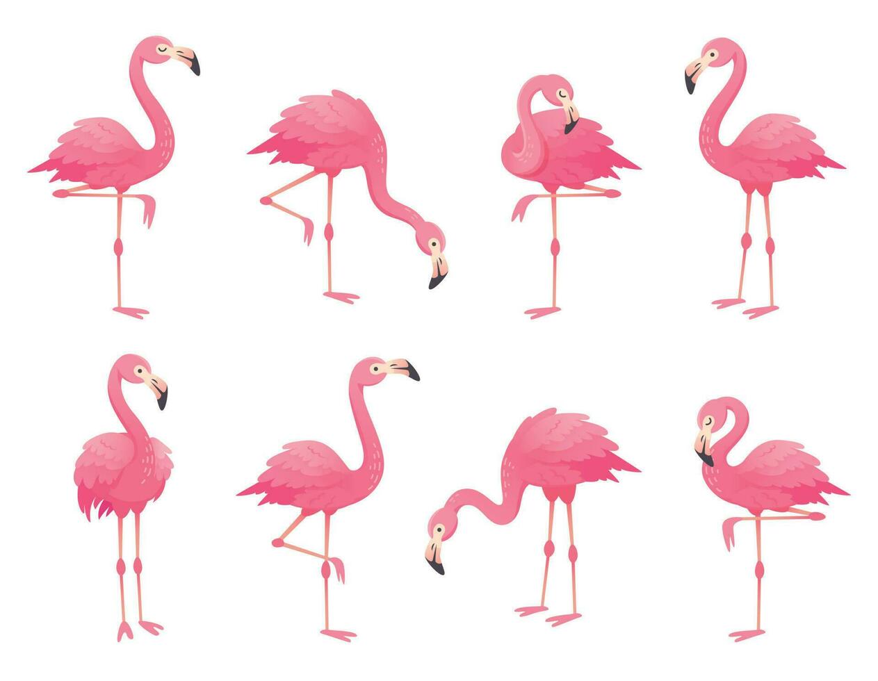 exotisk rosa flamingos fåglar. flamingo med reste sig fjädrar stå på ett ben. rosig fjäderdräkt flam fågel tecknad serie vektor illustration