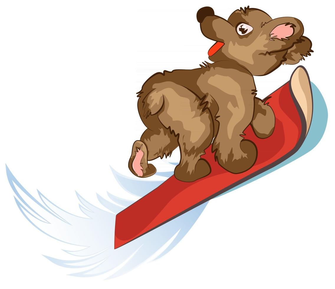 vektorbild av en björn som rider på ett bräde vektor