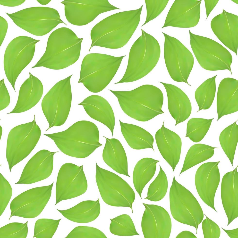 sömlös gröna blad bakgrund på en vit bakgrund vektor