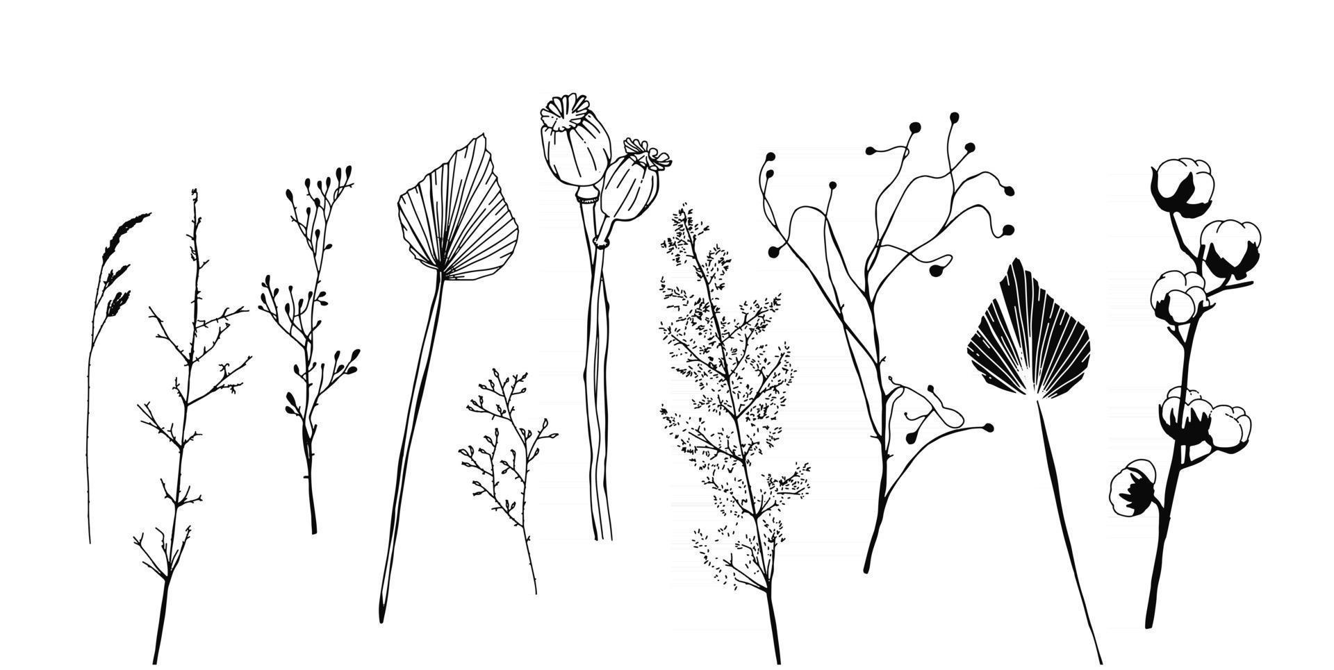 uppsättning minimalistiska torkade växter blommor och lämnar skandinaviska hygge vektorelement av interiören vektor