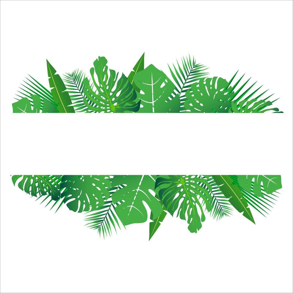 tropiska löv runt en vit ram kopiera utrymme ljus abstrakt bakgrund för banner flyer eller omslag med kopia utrymme för text eller emblem vektor