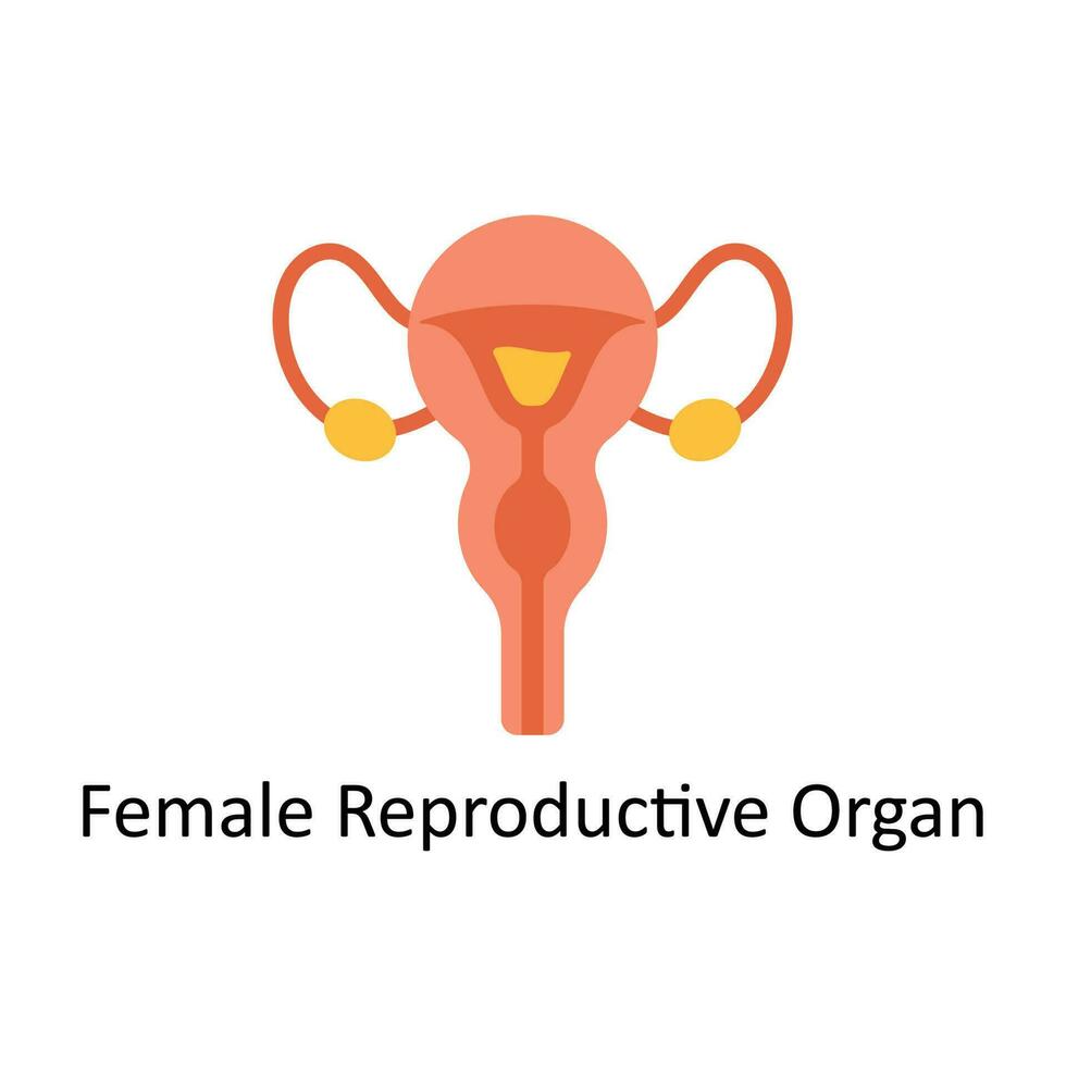 kvinna reproduktiv organ vektor platt ikon design illustration. medicinsk och sjukvård symbol på vit bakgrund eps 10 fil