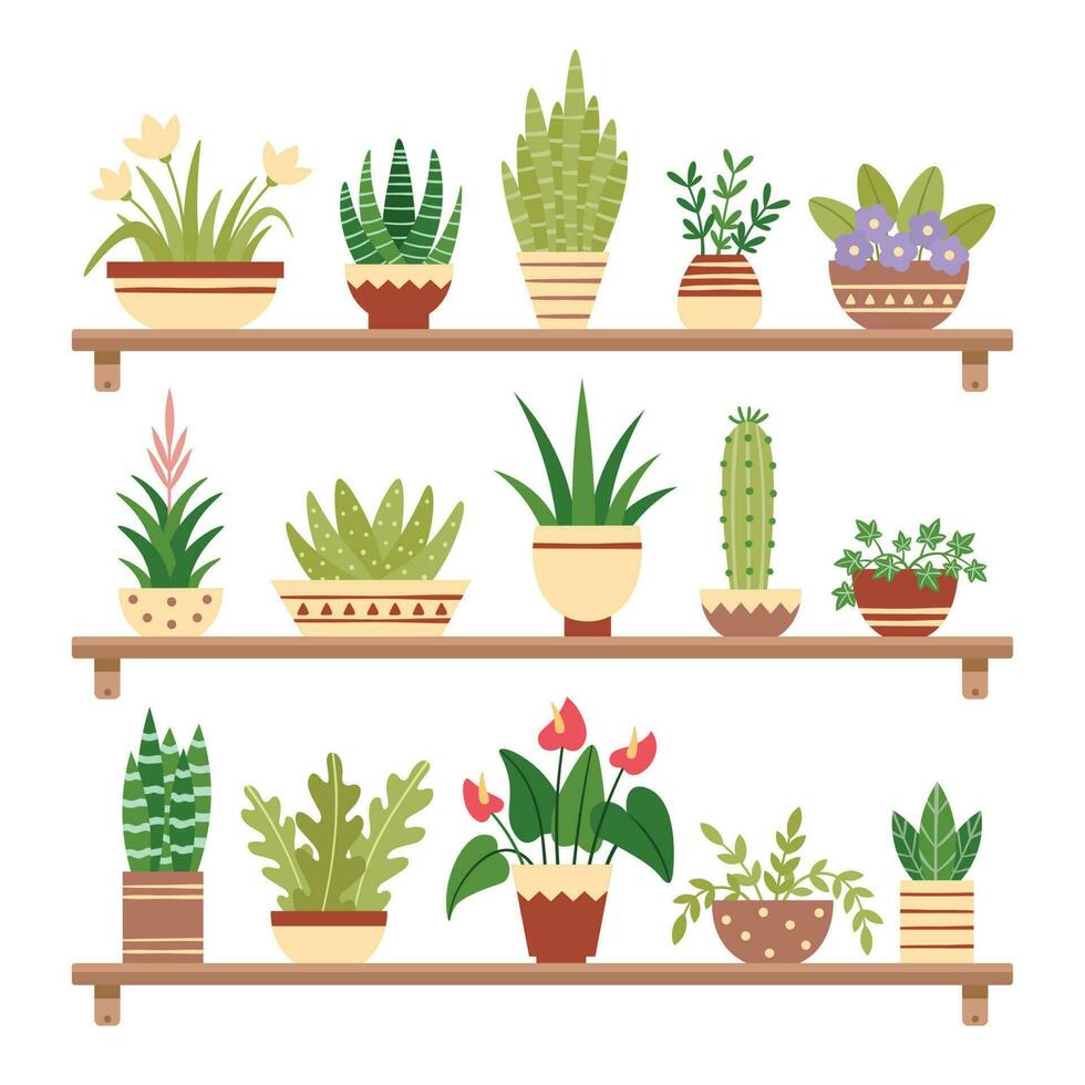 Zimmerpflanzen auf Regal. Blume im Topf, eingetopft Zimmerpflanze und Pflanze Töpfe. Zuhause Pflanzen auf Regale isoliert Vektor Illustration