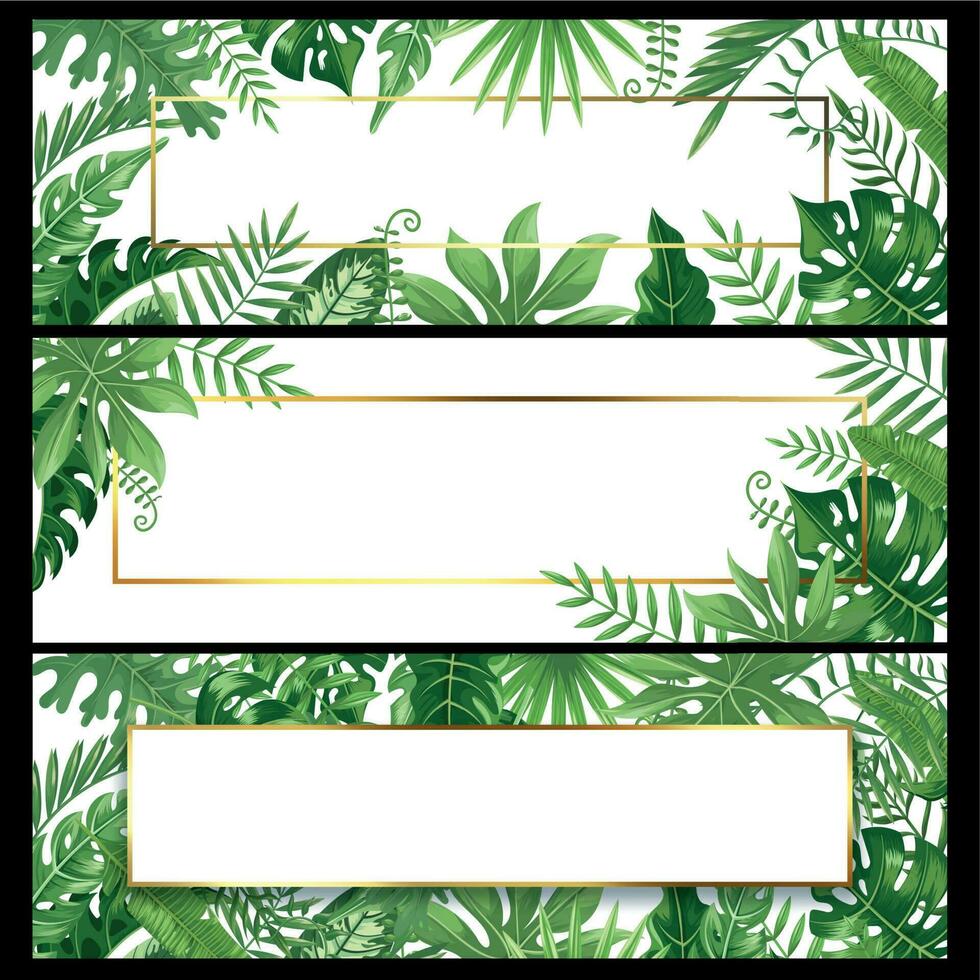 tropisk löv banderoller. exotisk handflatan blad baner, naturlig kokos palmer gren ramar och djungel växter vektor bakgrund design uppsättning
