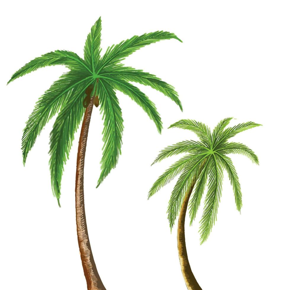 skön grön kokos träd blad design vektor