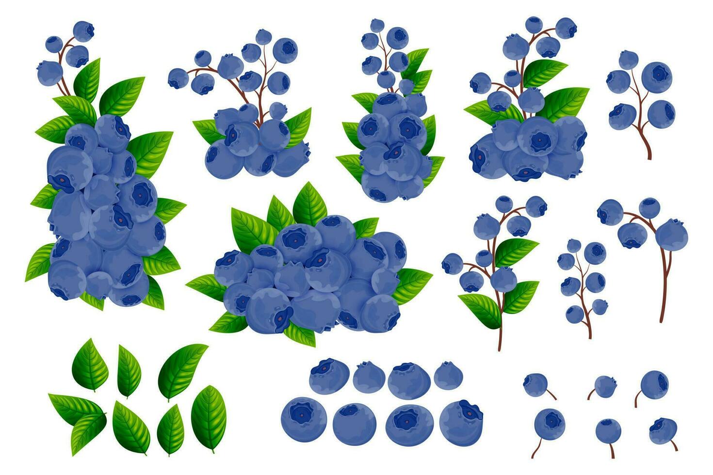 ein einstellen von Geäst, dunkel Blau Beeren und Grün Blätter von Blaubeeren auf ein Weiß Hintergrund. dekorativ Grenzen von Beeren und Früchte. Beere Muster. Vektor Illustration.