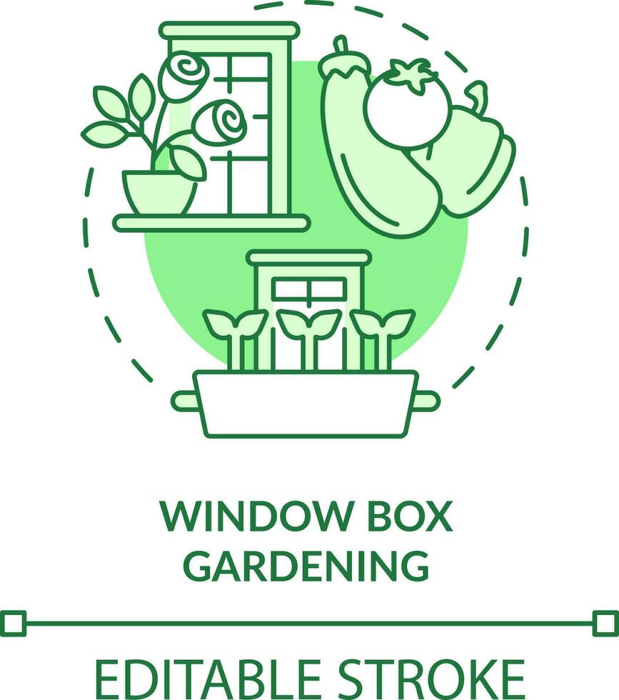 fönster låda trädgårdsarbete grön begrepp ikon. fönsterbräda behållare. trädgårdsarbete metod abstrakt aning tunn linje illustration. isolerat översikt teckning. redigerbar stroke vektor