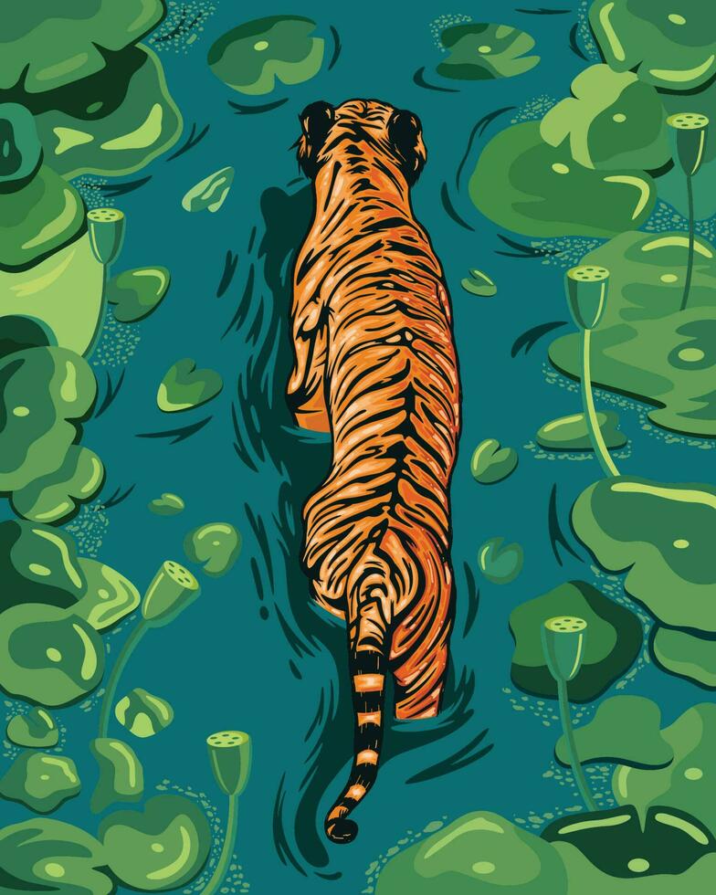 ein groß Orange männlich Tiger Spaziergänge im ein See mit Wasser Hyazinthe Blätter vektor