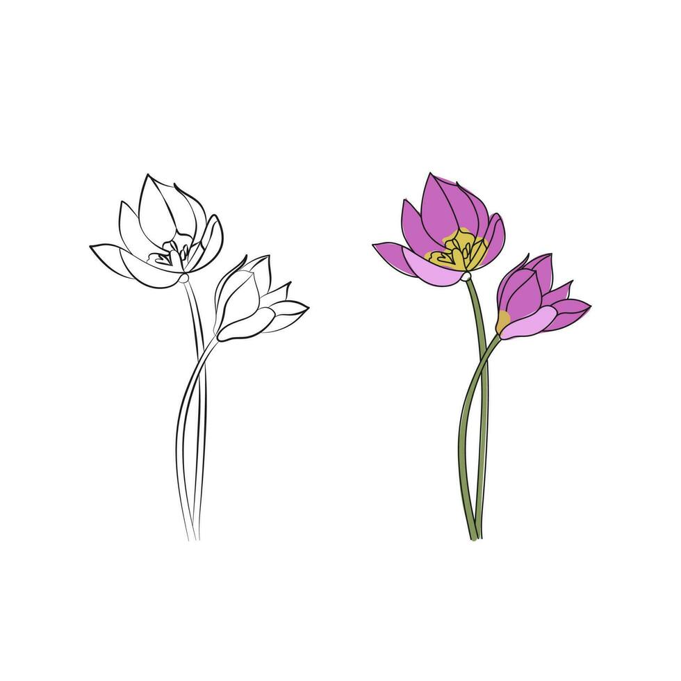 lila tulpan blomma. linje konst. hand dragen vektor illustration.