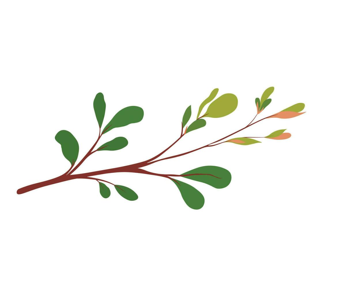 vår knoppar och löv på en träd gren vektor stock illustration. närbild av blad groddar och ung skjuter av en buske. tropisk grönska. . isolerat på en vit bakgrund.