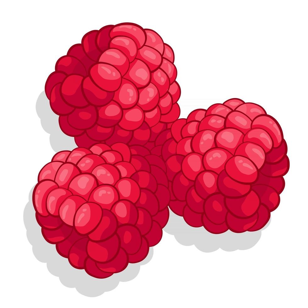 hallon söt frukt illustration för webben isolerad på vit bakgrund vektor