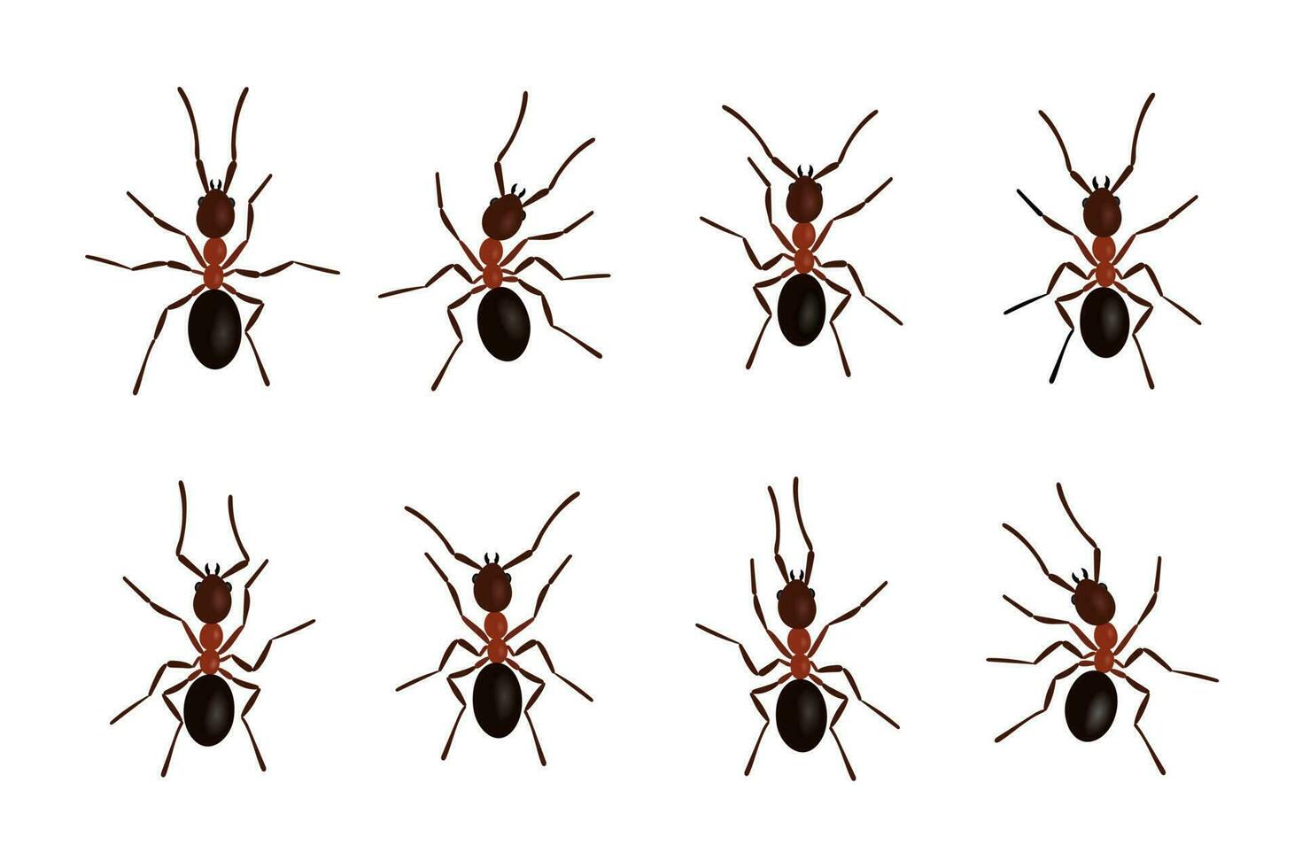braun Ameise Insekten schwarz Silhouetten Vektor Illustration isoliert auf Weiß Hintergrund.