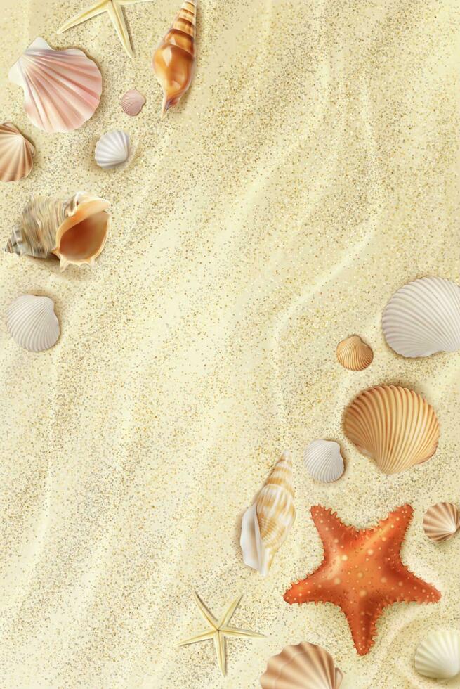 realistisk strand havet topp se med snäckskal vektor