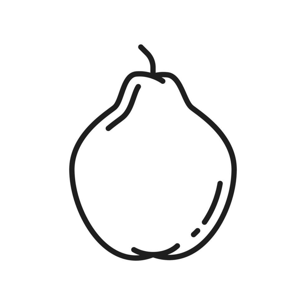 päron eller tropisk guava hela frukt linje ikon vektor