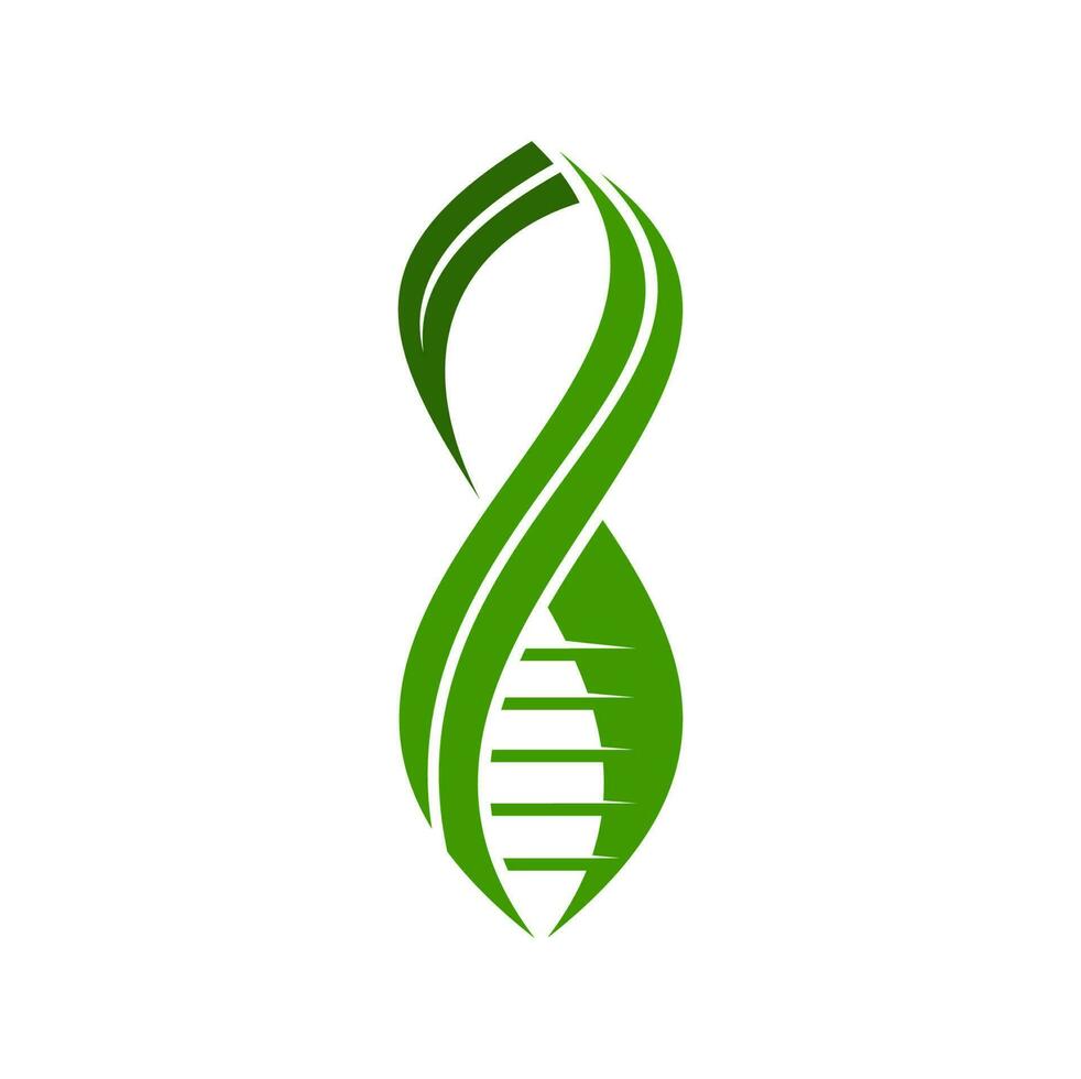 blad dna ikon, växt gen forskning labb emblem vektor