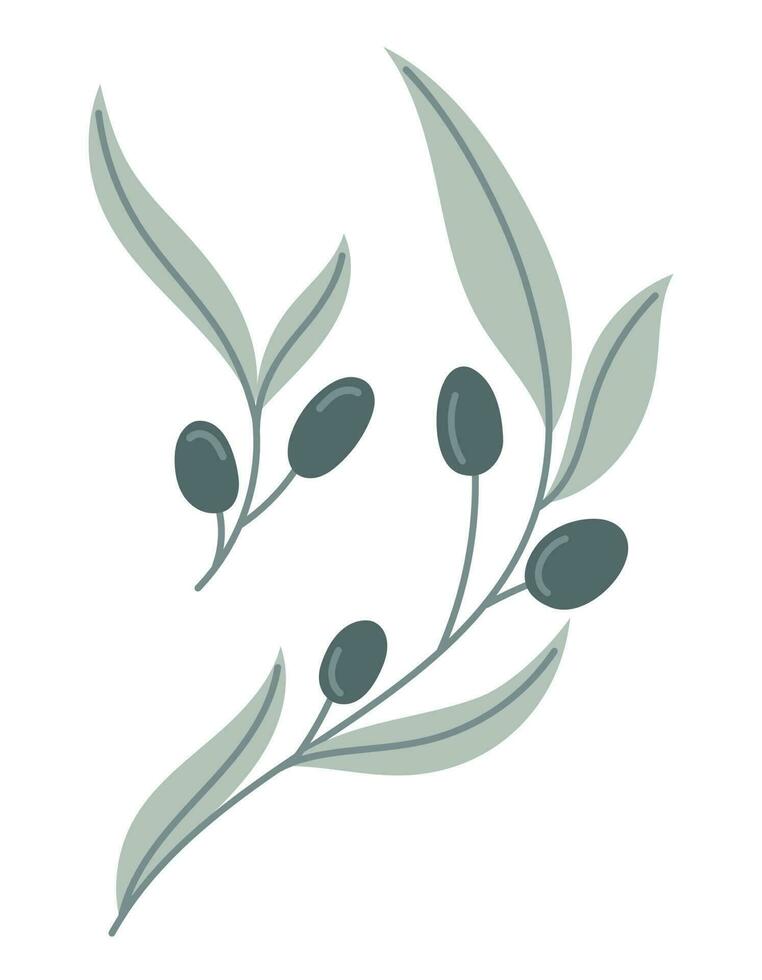 Vektor isoliert Olive Geäst mit Beeren und Blätter im eben Stil.