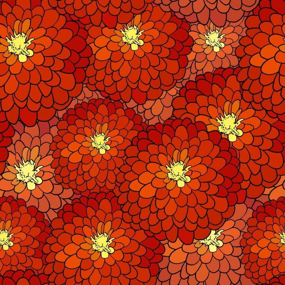 sömlös mönster med röd dahlia. allmänning zinnia blomma vektor