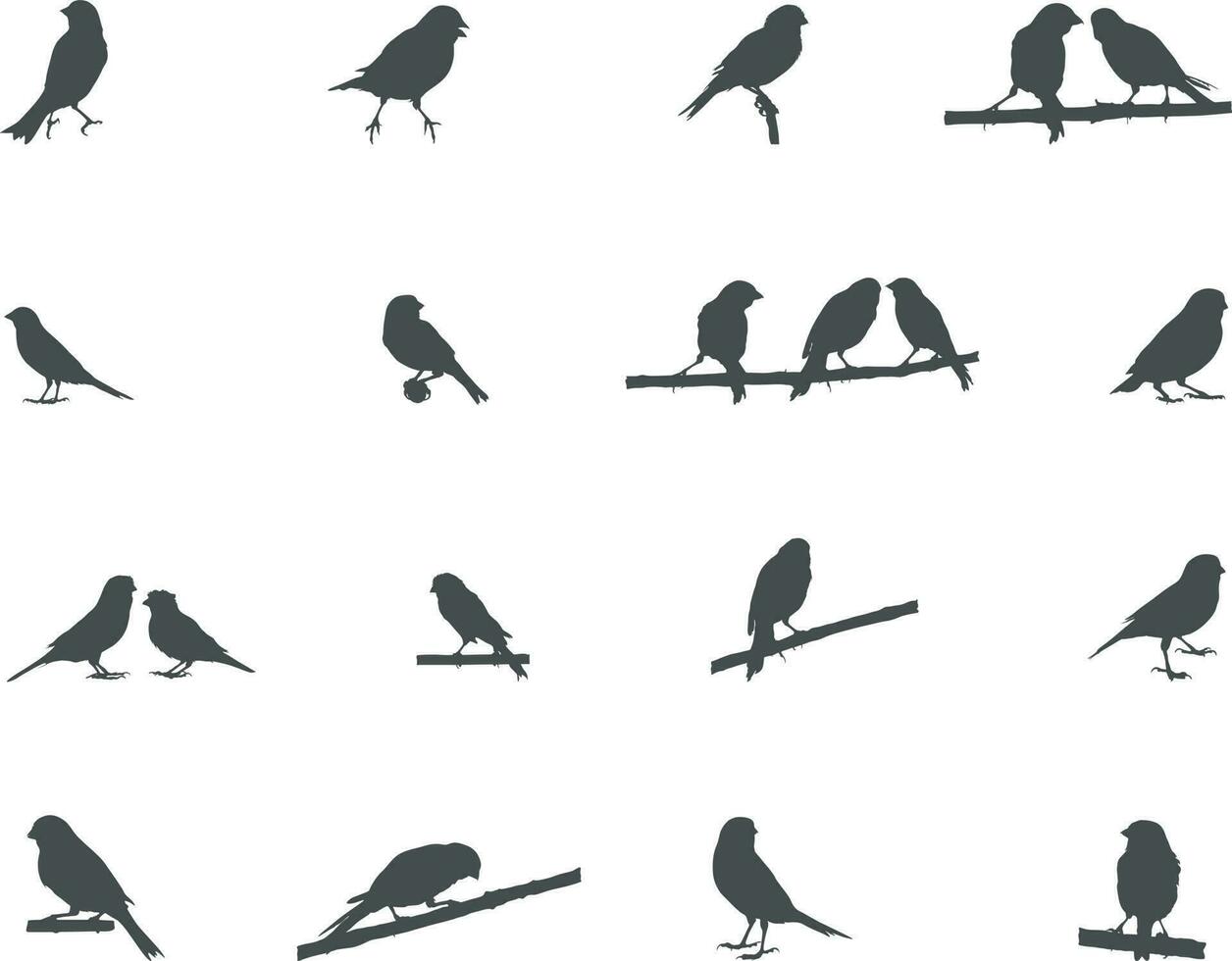 Kanarienvogel Vogel Silhouette, Vogel Silhouetten, Kanarienvogel Vektor. vektor