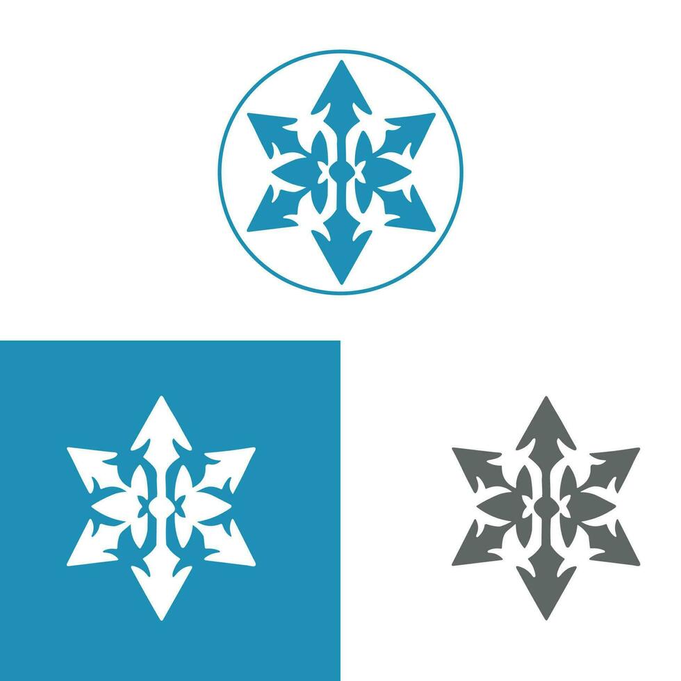 Star Schiene Element Logo Eis vektor