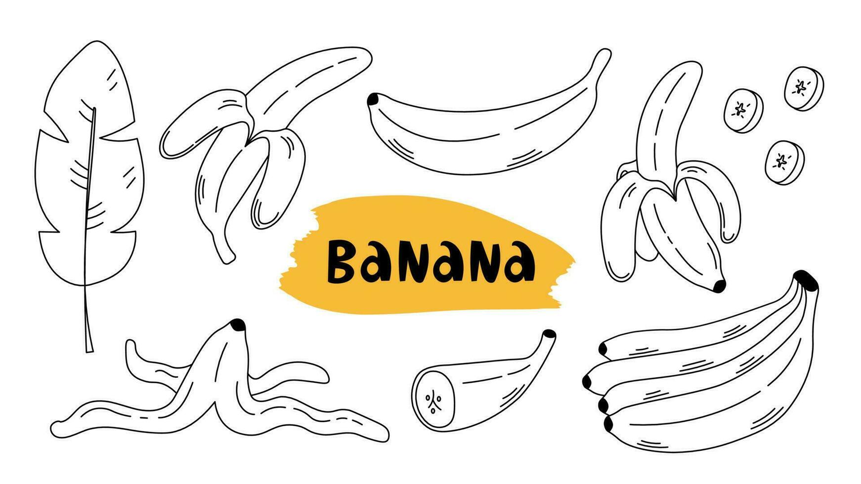 Banane Gekritzel skizzieren einstellen vektor