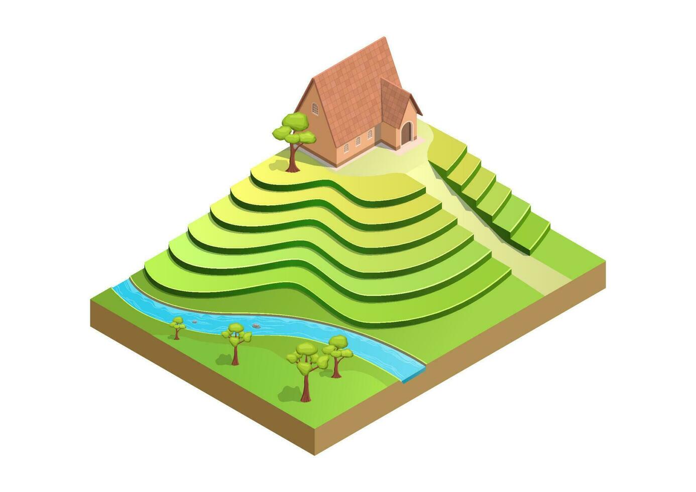 isometrisch Terrasse Landwirtschaft Land vektor
