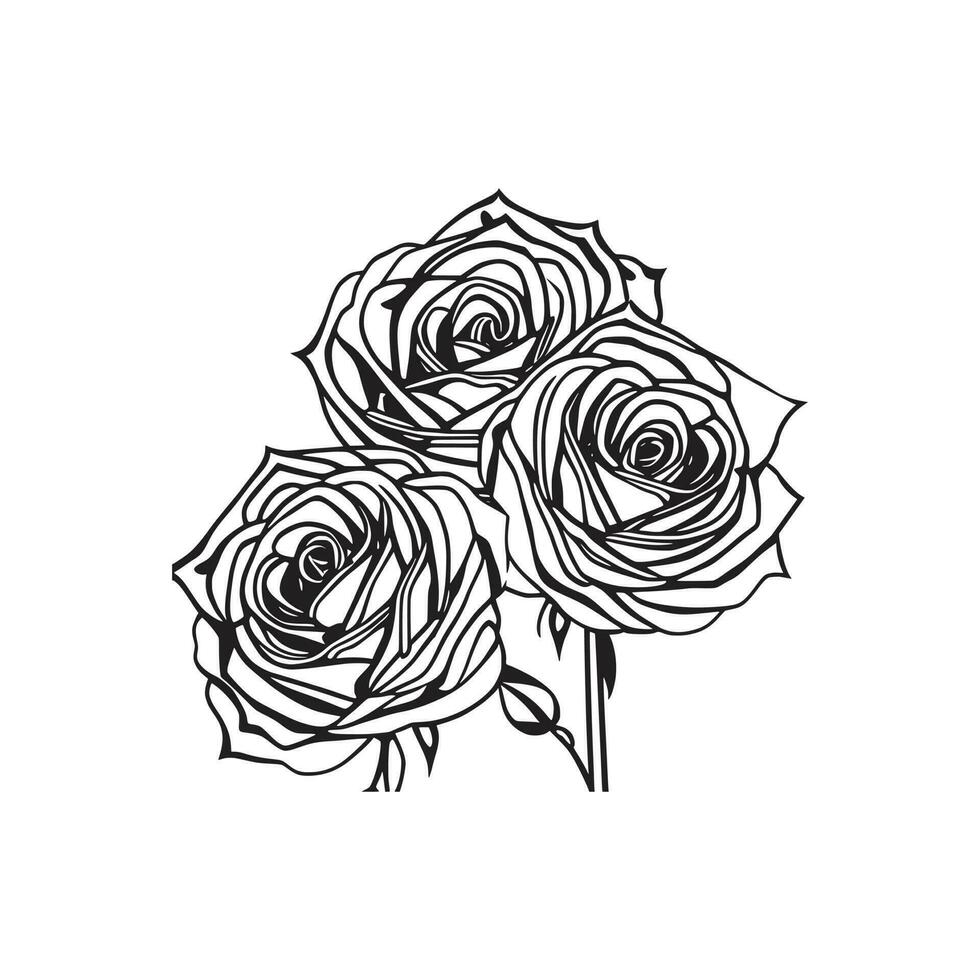 Rosen Hand gezeichnet Bleistift skizzieren, Färbung Buchseite, und Buch, Rose Blume Umriss, Illustration Tinte Kunst. Rose Vektor Kunst.