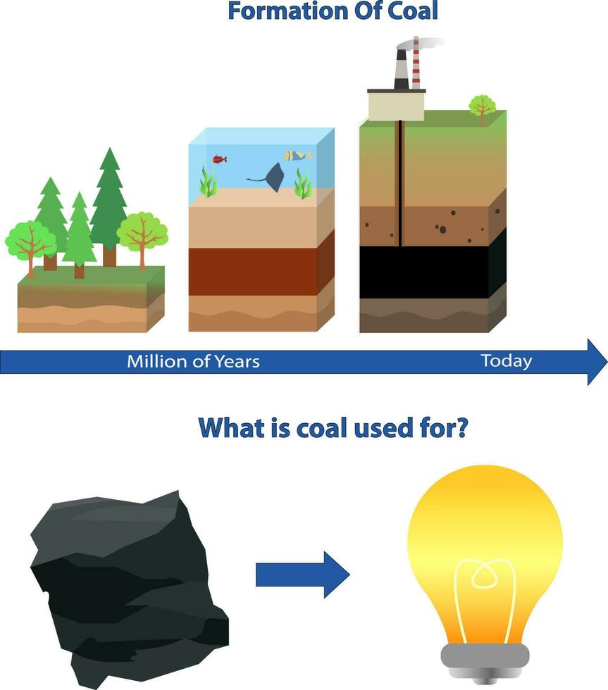 kol bildning bearbeta, bildning av kol vektor illustration, gas och petroleum bearbeta, Vad är kol använda sig av för förklaring och infographic