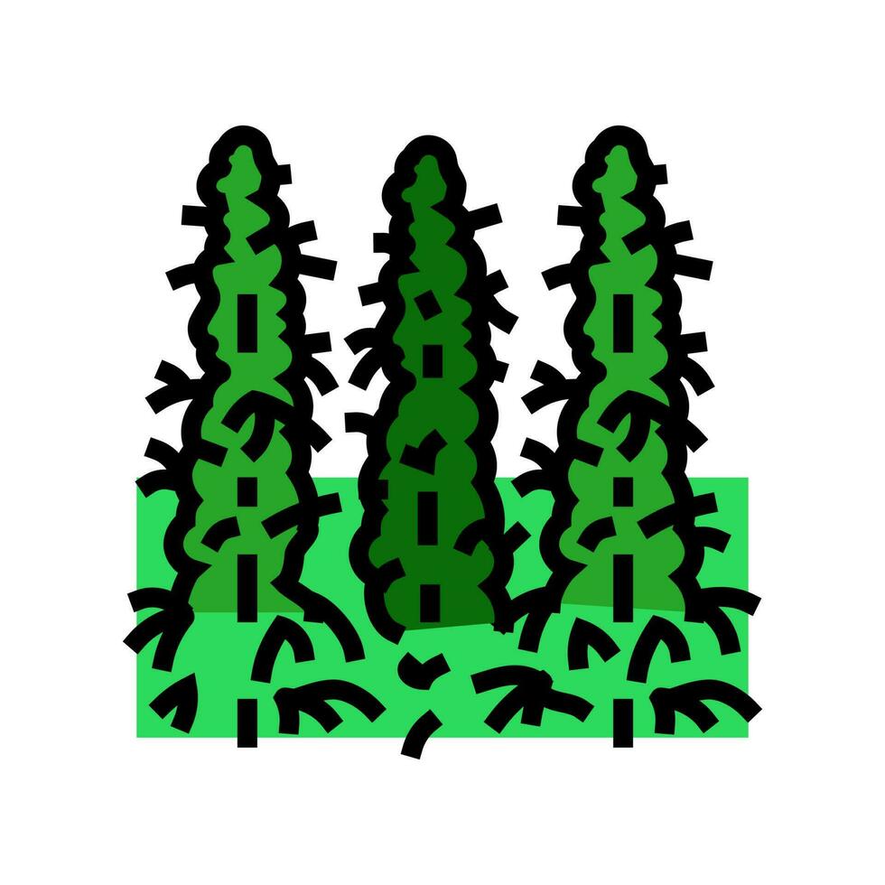 Cannabis Feld Farbe Symbol Vektor Illustration
