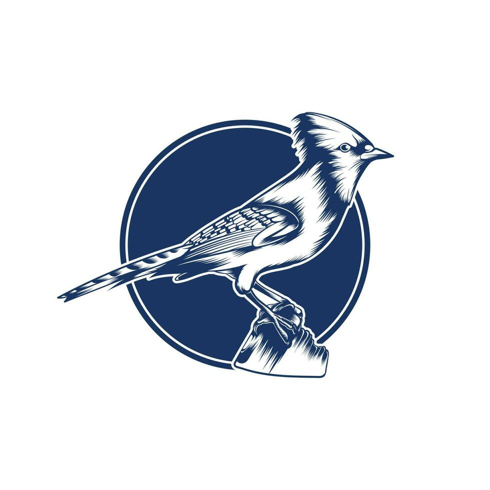 Blau Jay Vögel Logo detailliert auf Blau mit ein Kreis vektor