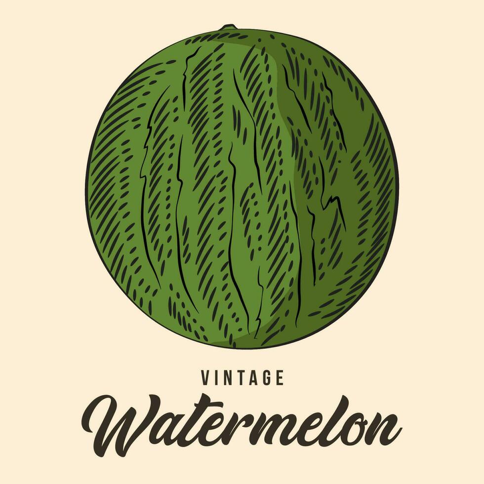Jahrgang Hand Zeichnung Wassermelone Obst skizzieren Vektor Lager Illustration Farbe
