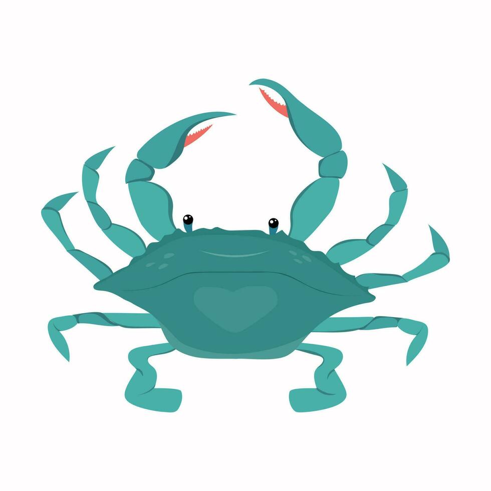 blå krabba isolerad på vit bakgrund vektor