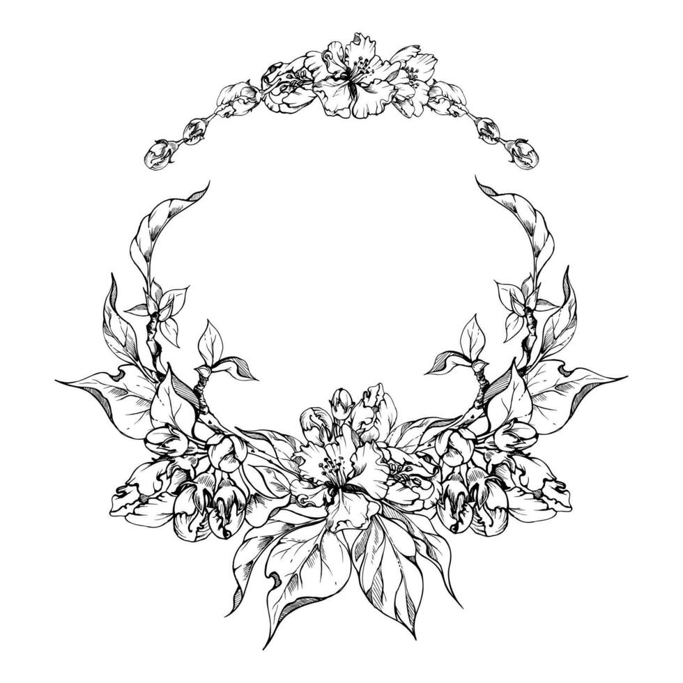 Hand gezeichnet Tinte Apfel Blumen, Geäst und Blätter, einfarbig Vektor, detailliert Gliederung blühen Kreis runden Kranz isoliert auf Weiß Hintergrund Design zum Mauer Kunst, Hochzeit, drucken, Stoff, Startseite Karte. vektor