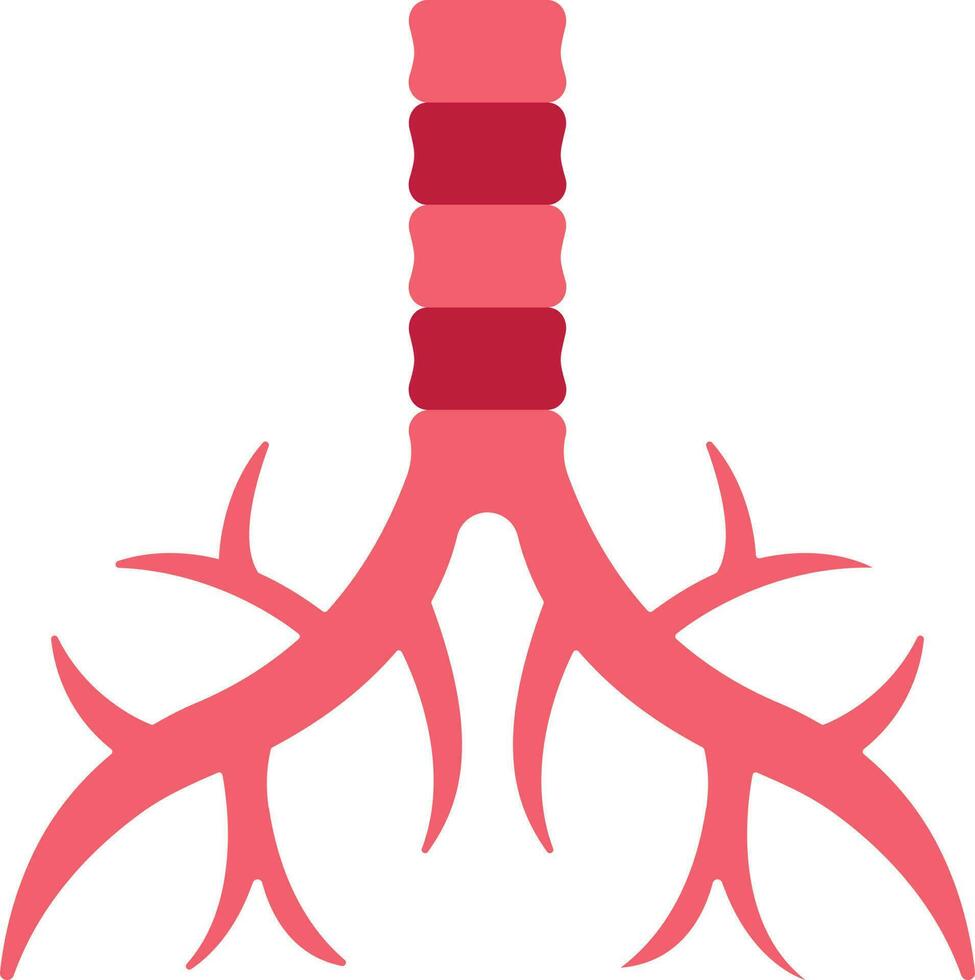 platt stil trakea anatomi ikon i röd Färg. vektor