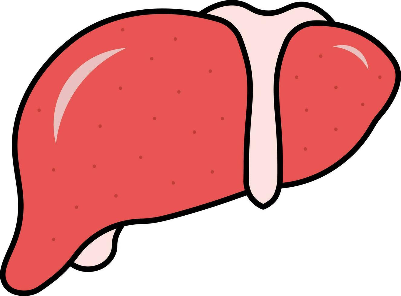röd lever anatomi ikon i platt stil. vektor
