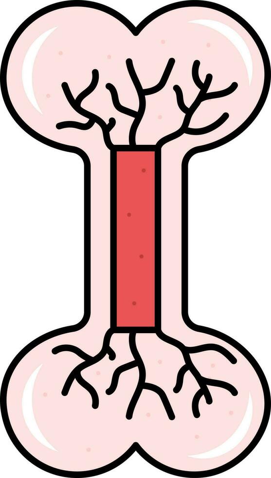 röd illustration av ben blod cirkulation ikon. vektor