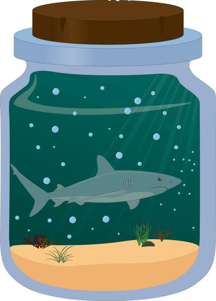 grå rev haj i glas burk konstverk vektor illustration