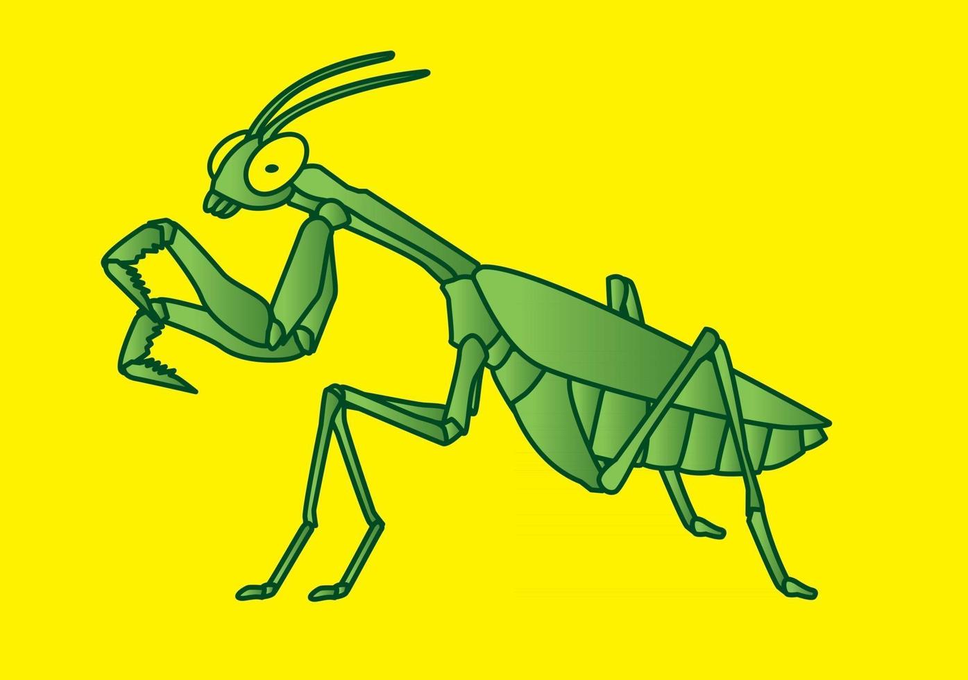 Mantis Heuschrecke Seitenansicht vektor