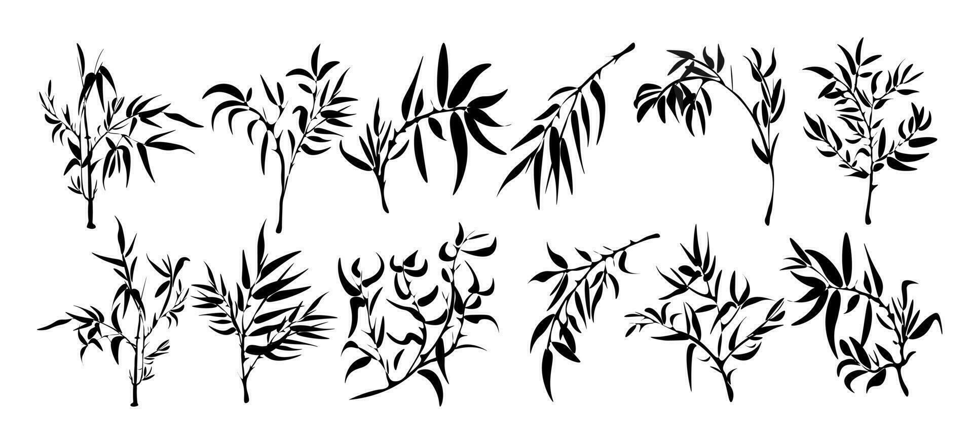 en uppsättning av bambu grenar med en bambu silhuett. en blad av gräs, en gren, växter av Asien. vektor