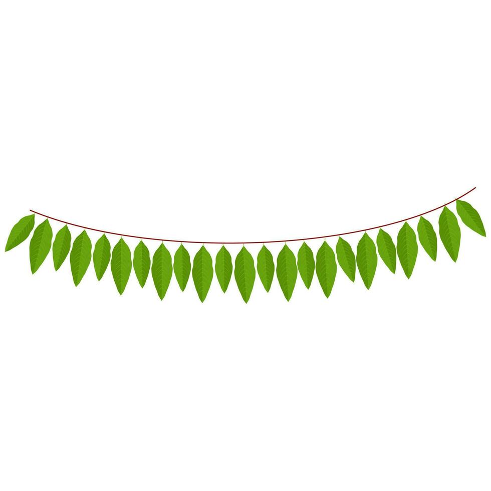 Grün Mango Blätter Girlande oder Ammer auf Weiß Hintergrund. vektor