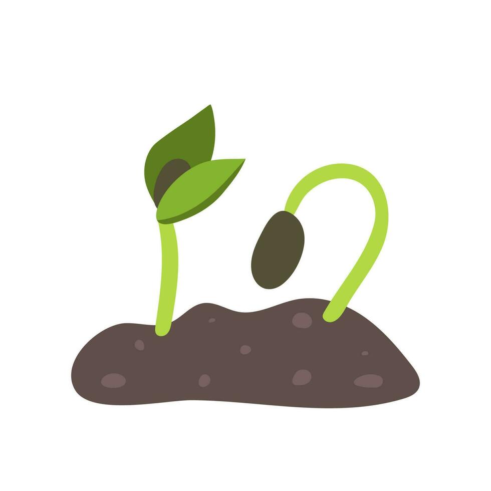 ung grön gro växt solros i jord med löv. microgreen friska mat. vegetarian mat. rå groddar, mikrogröna, friska äter begrepp. vektor illustration