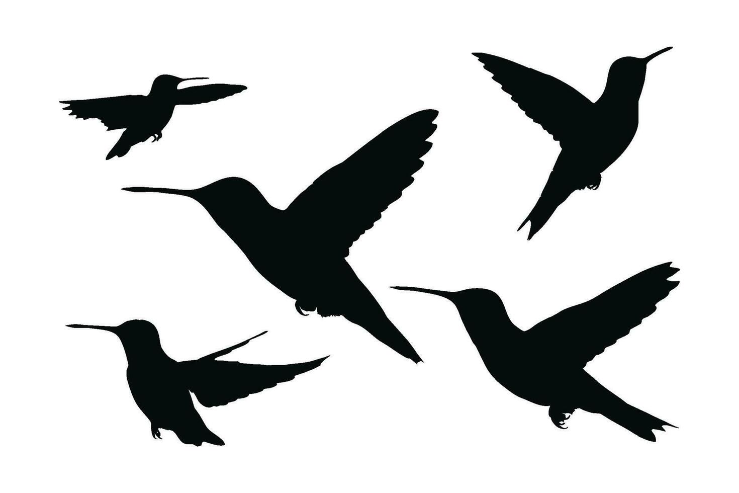 skön kolibri flygande silhuett uppsättning på en vit bakgrund. vild kolibri silhuett bunt design. söt liten fåglar flygande i annorlunda positioner. fjäderfä full kropp silhuett samling. vektor