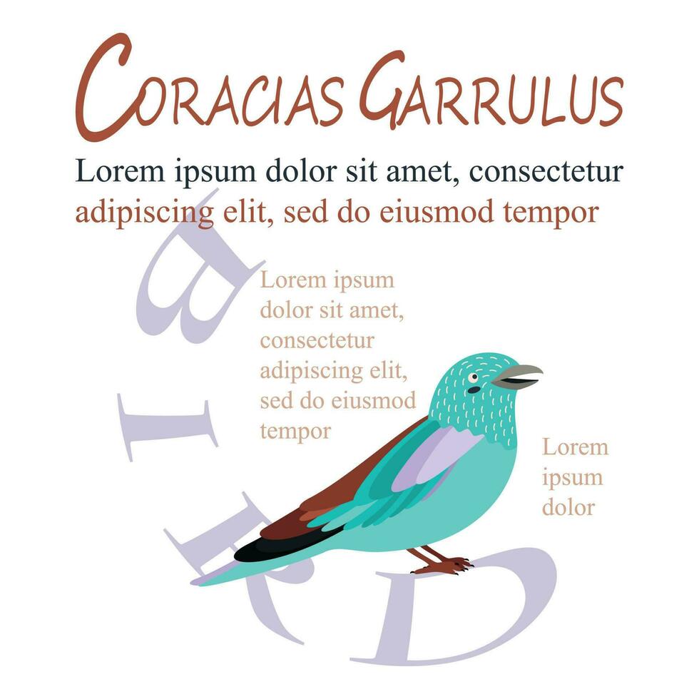 affisch, baner med coracias garrulus fågel och text. affisch layout design. vektor